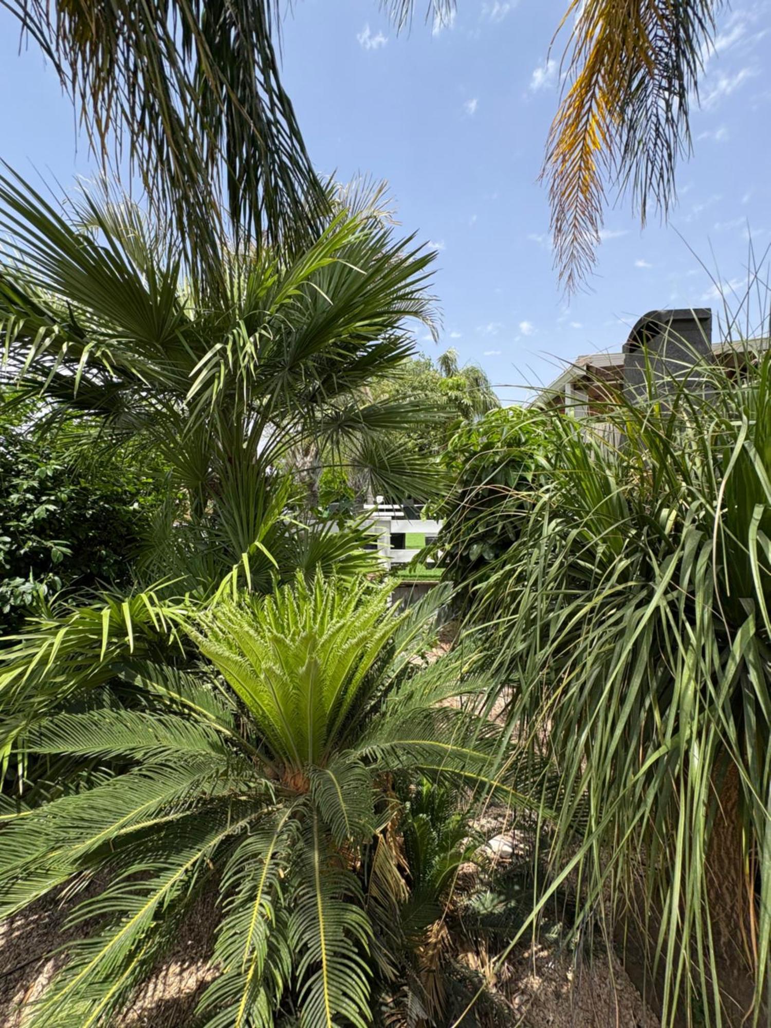 Villa Kesem Bagolan Had Nes Esterno foto