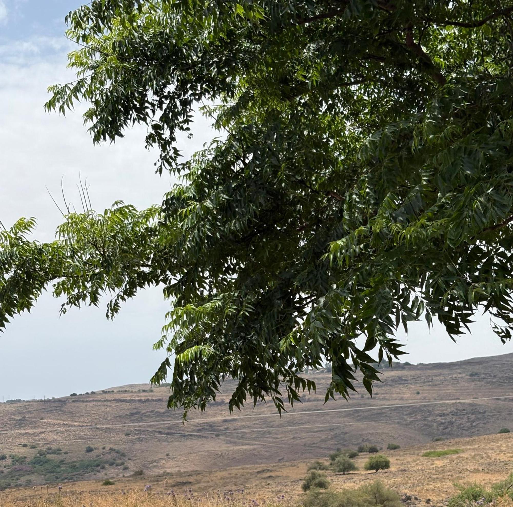 Villa Kesem Bagolan Had Nes Esterno foto
